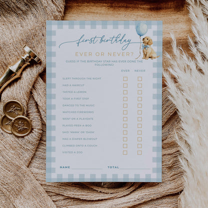 Blue Golden Retriever First Birthday Games